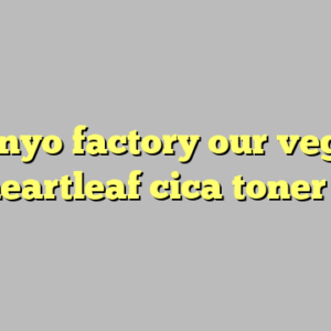 manyo factory our vegan heartleaf cica toner ?