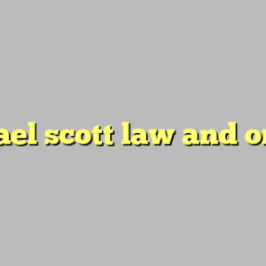 michael scott law and order ?