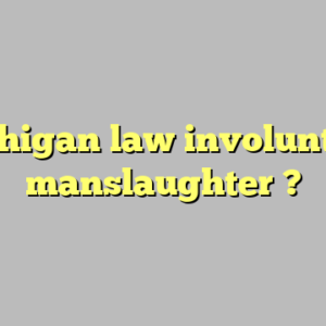 michigan law involuntary manslaughter ?