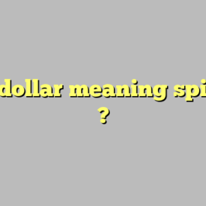 sand dollar meaning spiritual ?