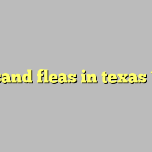 sand fleas in texas ?
