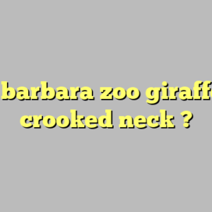 santa barbara zoo giraffe with crooked neck ?