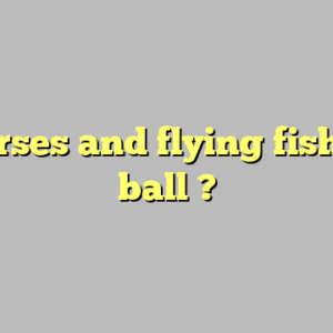 seahorses and flying fish hugo ball ?
