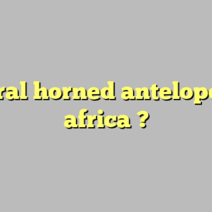 spiral horned antelope of africa ?