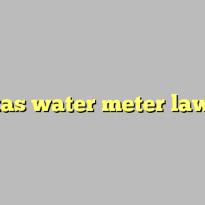 texas water meter laws ?