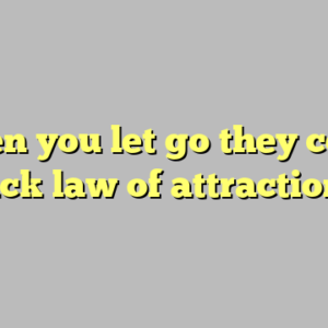 when you let go they come back law of attraction ?