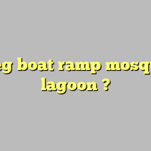 wseg boat ramp mosquito lagoon ?