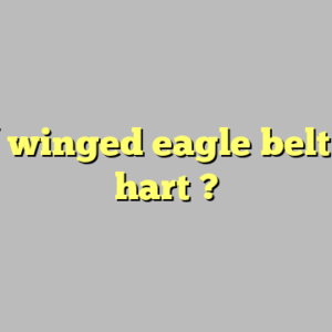 wwf winged eagle belt bret hart ?